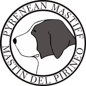 Pyrenean Mastiff standing outdoors with a calm expression